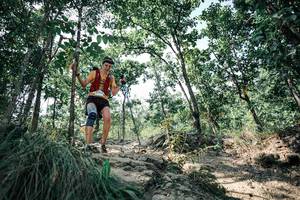 BIB: 
                            <button type="button" onclick="openModal(25988916)" class="btn btn-primary btn-sm float-right btn-popup" data-toggle="modal" data-target=".modal-high-quality">
                        <i class="fas fa-shopping-cart"></i> Add to Cart
                    </button>
                                            <button type="button" onclick="isThisMe(25988916, true)" class="btn btn-success btn-sm float-right btn-popup btn-isme hidden" data-toggle="tooltip" data-placement="bottom" title="นี่คือรูปของคุณใช่ไหม คลิกที่นี่เพื่อเอาเข้าอัลบั้ม">
                        <i class="fas fa-plus"></i> Add to album
                    </button>
                    <button type="button" onclick="isThisMe(25988916, false)" class="btn btn-warning btn-sm float-right btn-popup btn-isnotme hidden">
                        <i class="fas fa-ban"></i> Remove from album
                    </button>